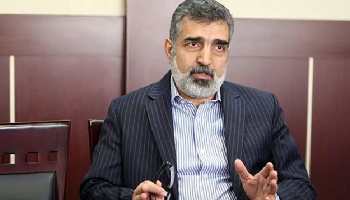 کمالوندی: ۱۰ دوربین آژانس در نطنز فعال شد