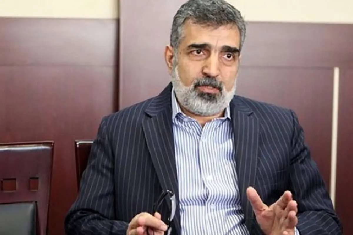کمالوندی: ۱۰ دوربین آژانس در نطنز فعال شد