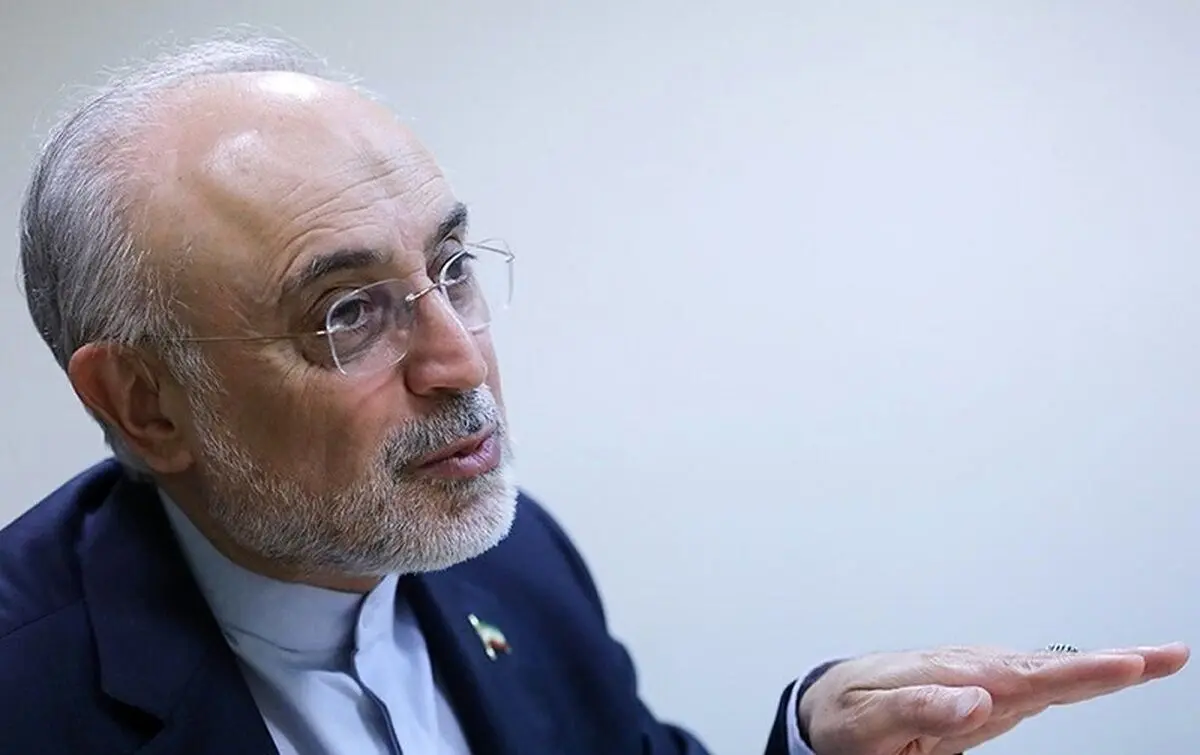علی اکبر صالحی: امیدوارم مذاکرات در چارچوب برجام به نتیجه برسد