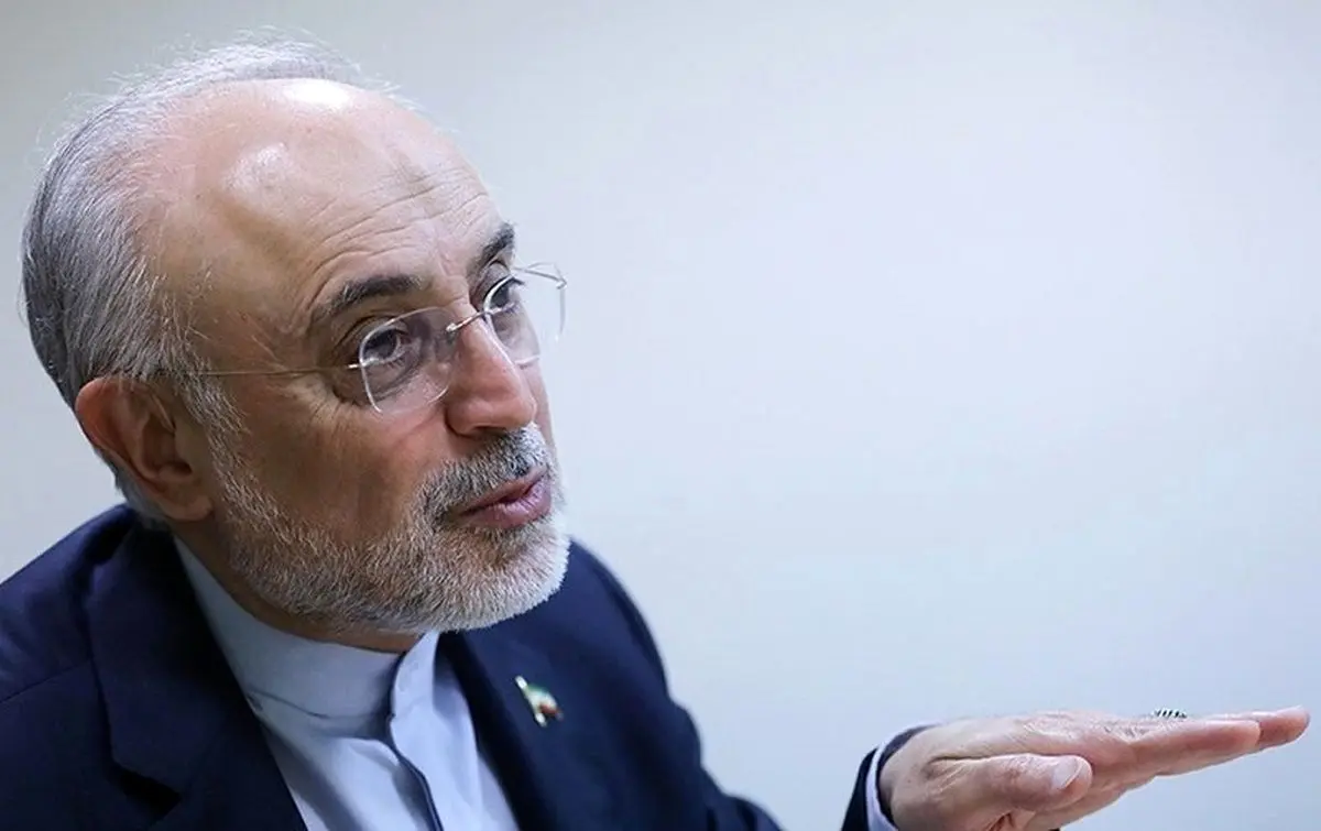 علی اکبر صالحی: امیدوارم مذاکرات در چارچوب برجام به نتیجه برسد