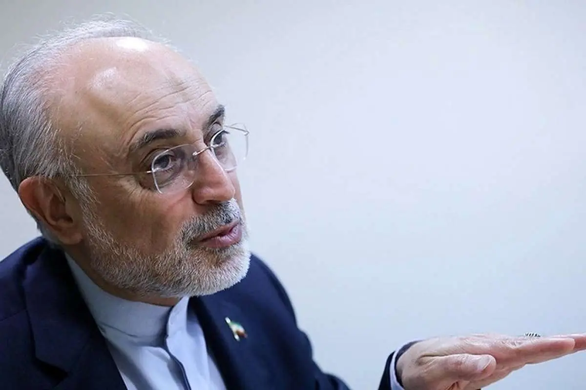 علی اکبر صالحی: امیدوارم مذاکرات در چارچوب برجام به نتیجه برسد