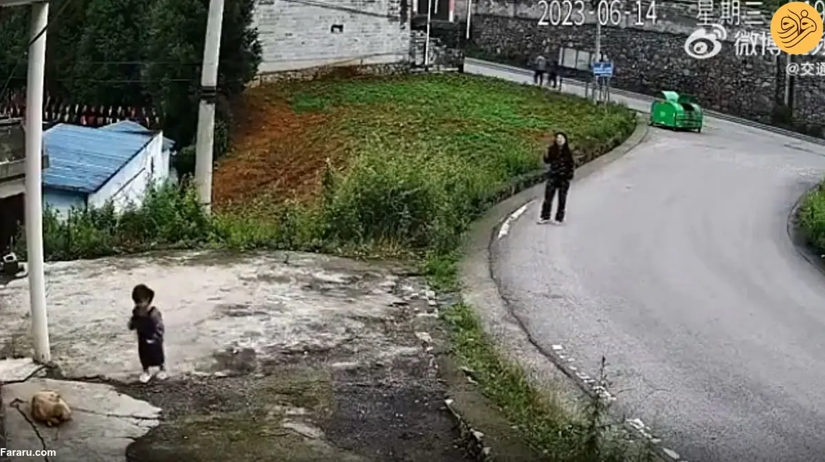 (ویدئو) حمله وحشتناک یک سگ به دختربچه