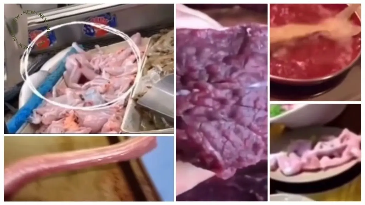 (ویدئو) لاشه‌های متحرک؛ چرا پس از مرگ همچنان حرکت می‌کنند؟!