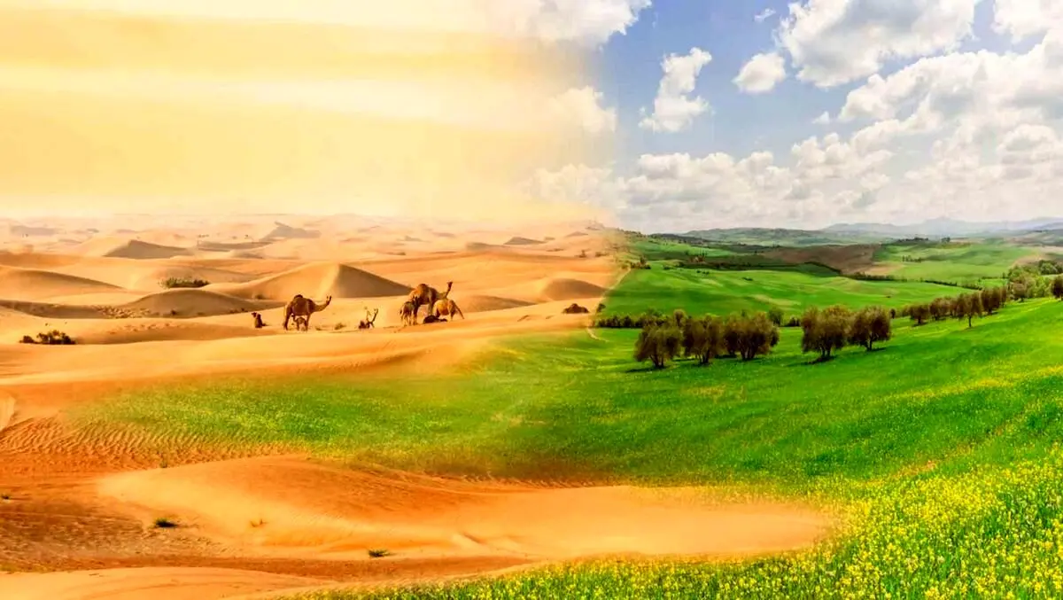 (کاریکاتور) افزایش بیابان‌های کشور سالی یک میلیون هکتار