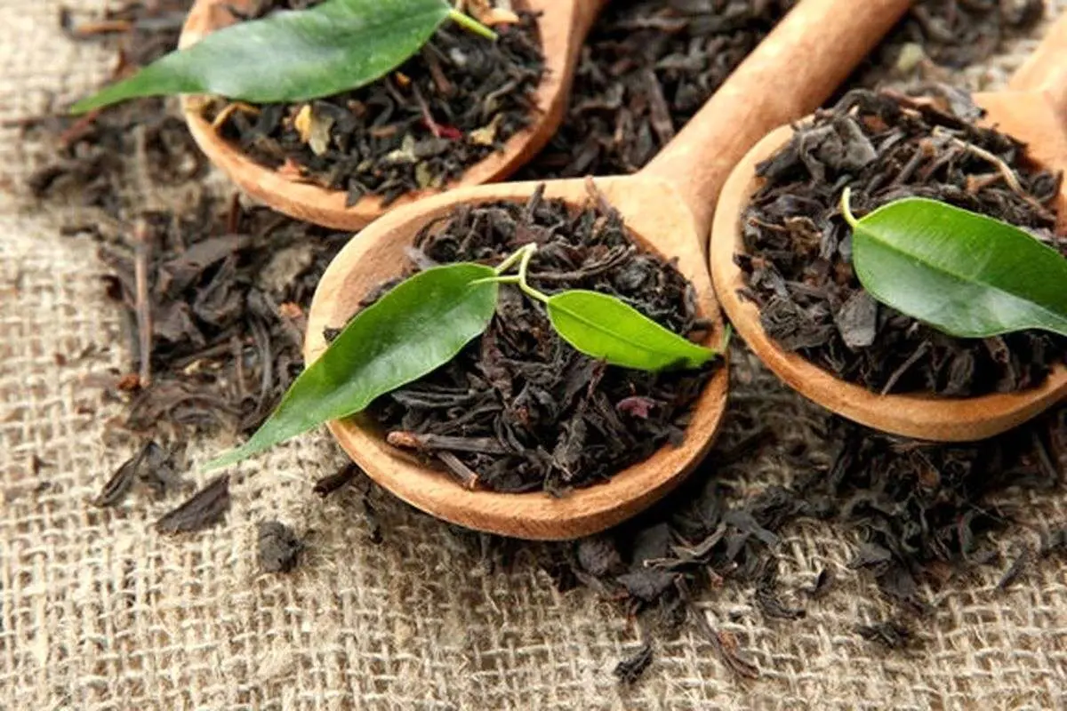 ثبت سفارش واردات چای آزاد شد