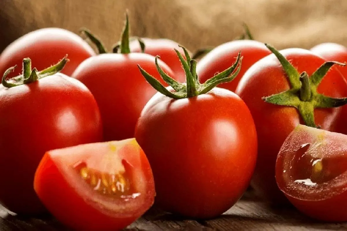 ۳ روش مهم و کاربردی برای فریز کردن گوجه فرنگی