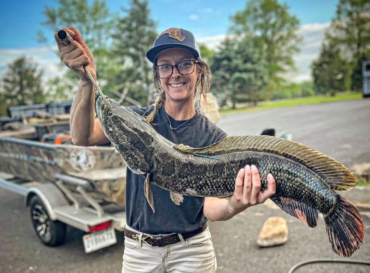 (تصویر) این ماهی‌ ترسناک حتی در خشکی هم زنده می‌ماند