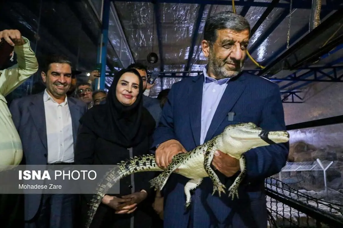 (عکس) تمساح در دست ضرغامی