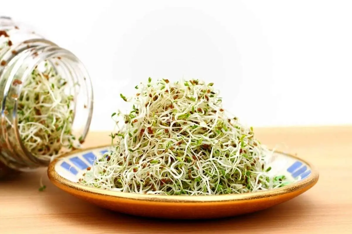 ۷ غذای خطرناک که نباید بخورید