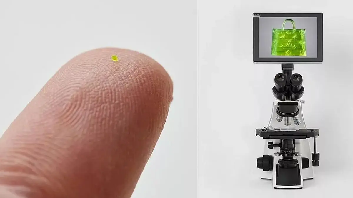 (عکس) کیف‌دستی «کوچک‌تر از دانه نمک» ۶۳ هزار دلار فروش رفت