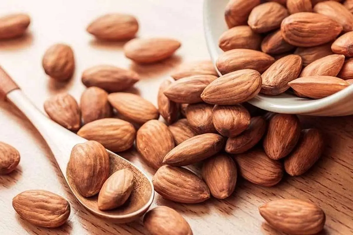 با خوردن این ۲ آجیل قبل از خواب چربیهای شکم را بسوزانید