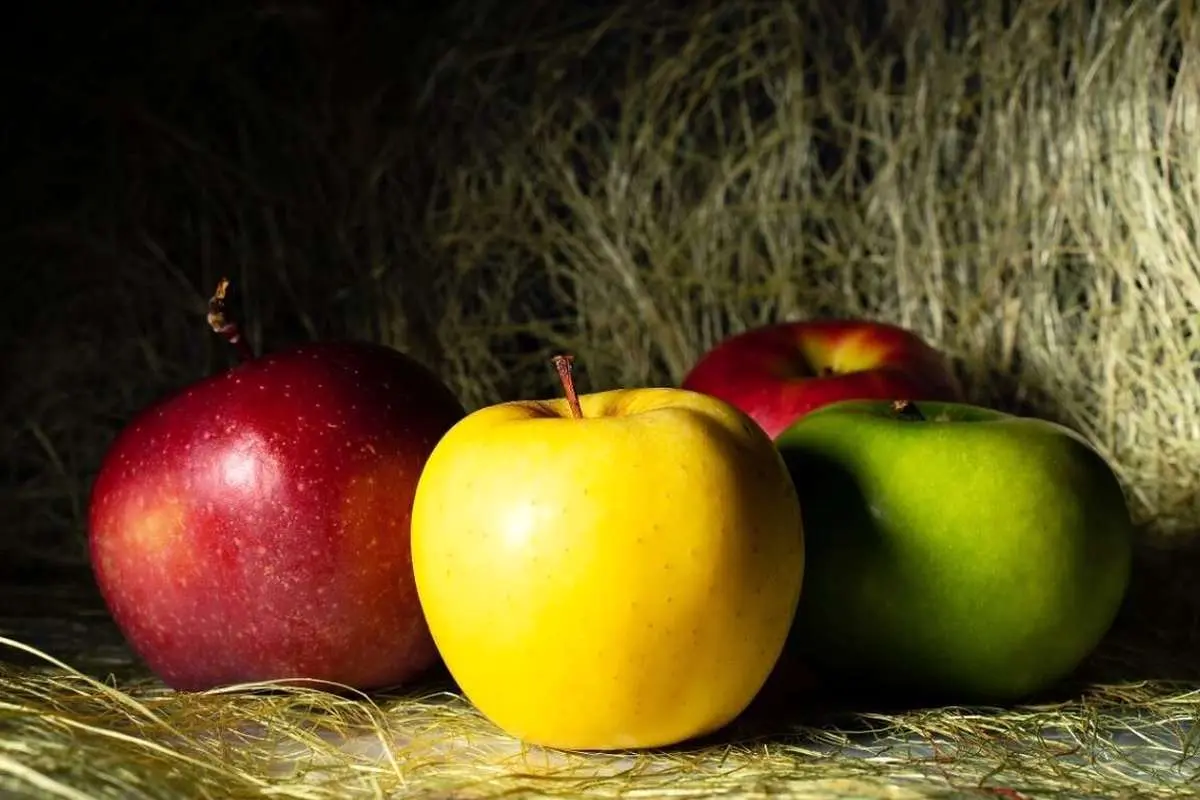 آیا سیب را درست می‌خورید؟ / این اشتباه را مرتکب نشوید!