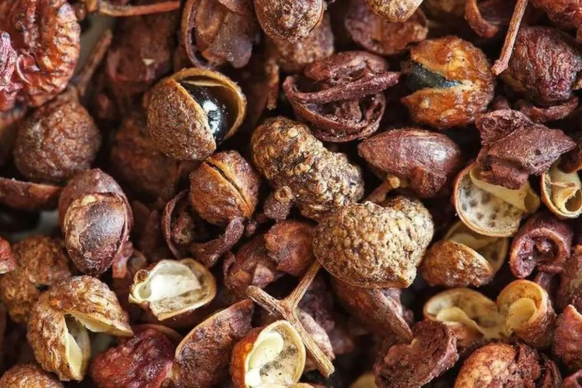 جذابیت فلفل سیچوان در چیست؟