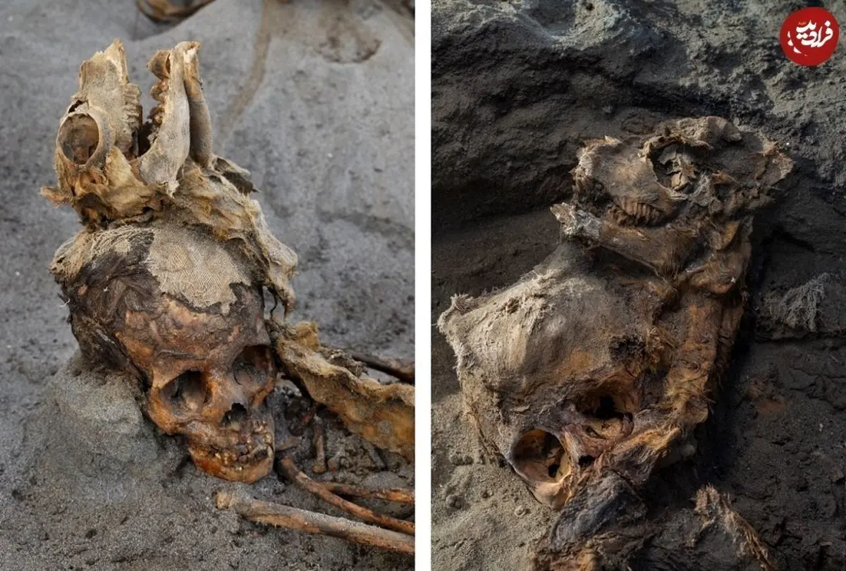 چرا ۵۰۰ سال پیش صد‌ها کودک به همراه حیوانات «قربانی» شدند؟