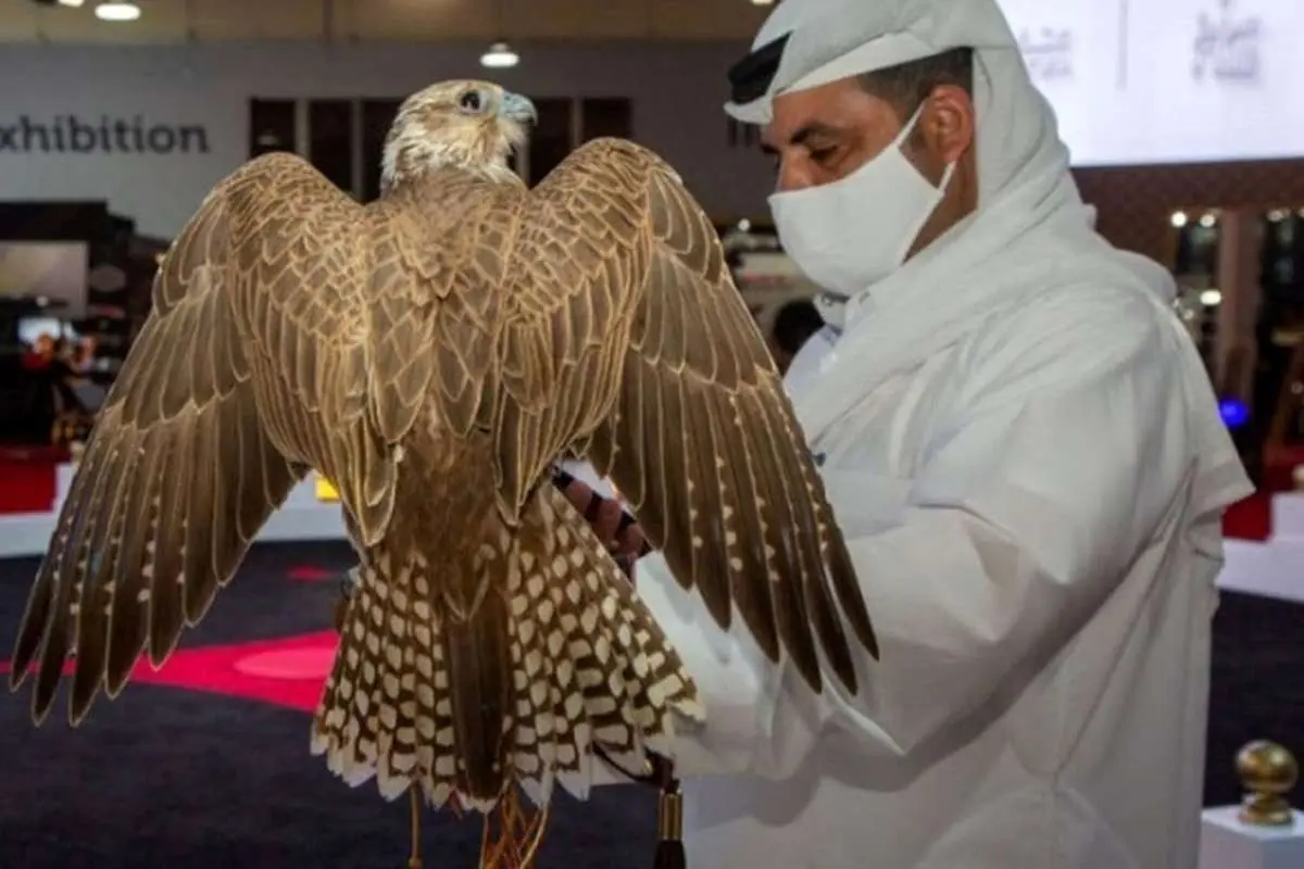 قاچاق سلطان آسمان ایران به کشور‌های عربی!