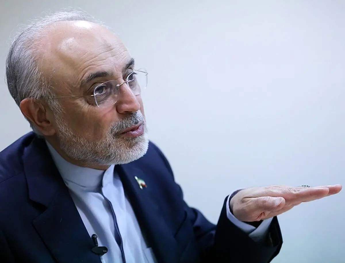 علی اکبر صالحی: ایران باید تکلیف روابط بین‌‌الملل خود را روشن کند