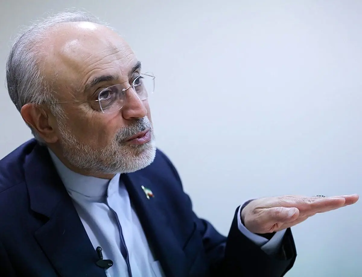 علی اکبر صالحی: ایران باید تکلیف روابط بین‌‌الملل خود را روشن کند