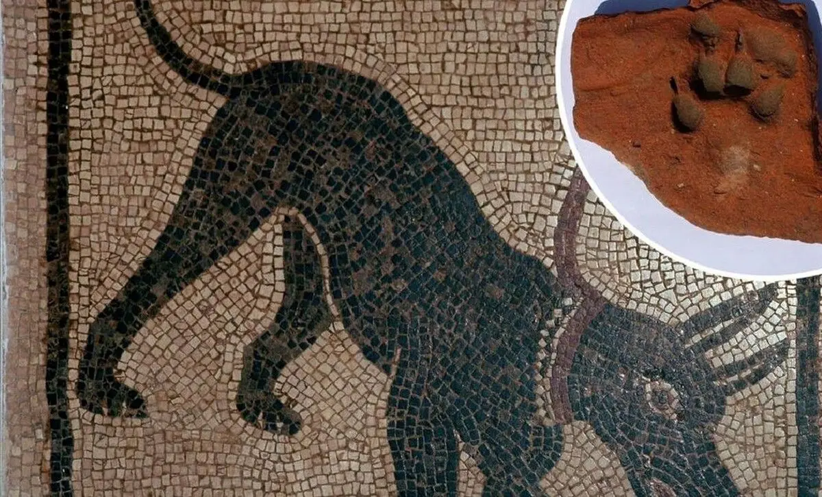 کشف ردپای سگ‌هایی که دو هزار سال قبل در قلعۀ رومی جست و خیز می‌کردند!