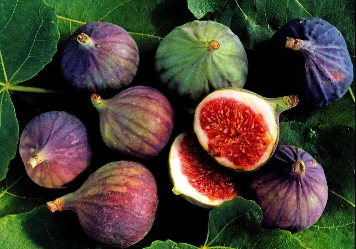 از خواص شگفت‌انگیز این میوه غافل نشوید