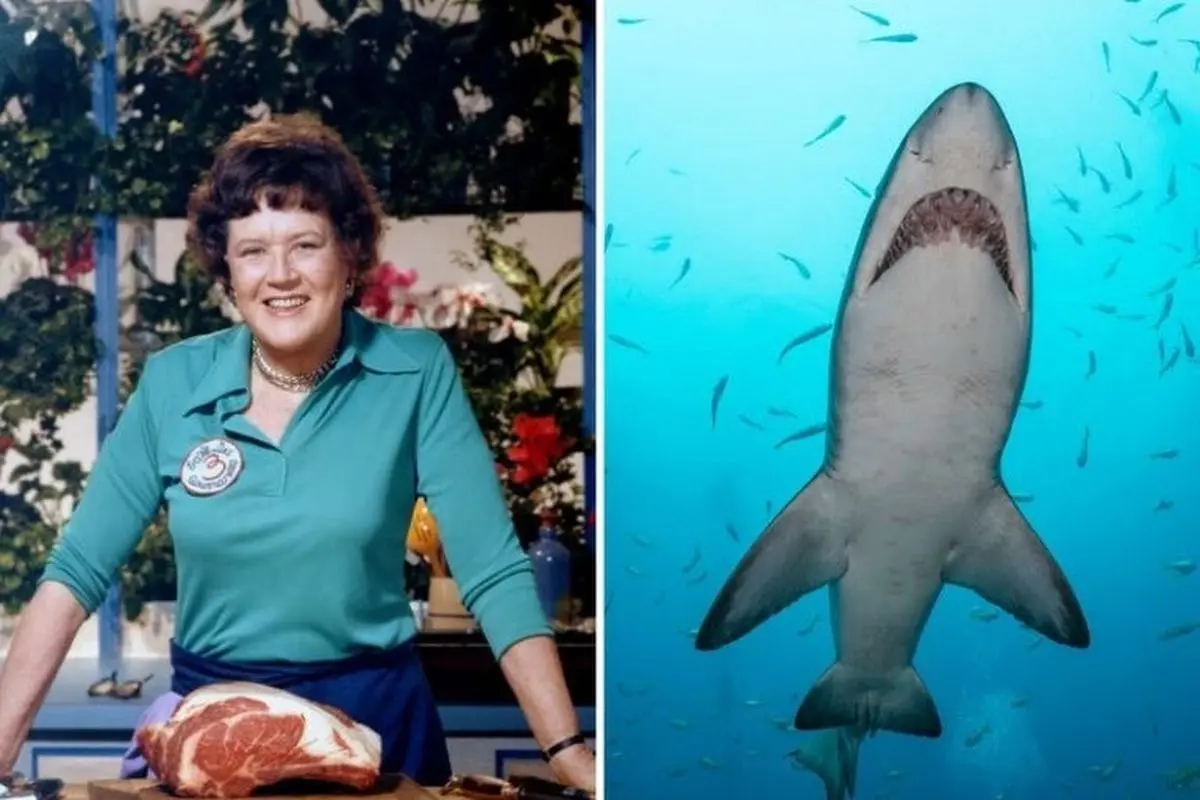 اختراعاتی که نمی‌دانستید به دست زنان انجام شدند