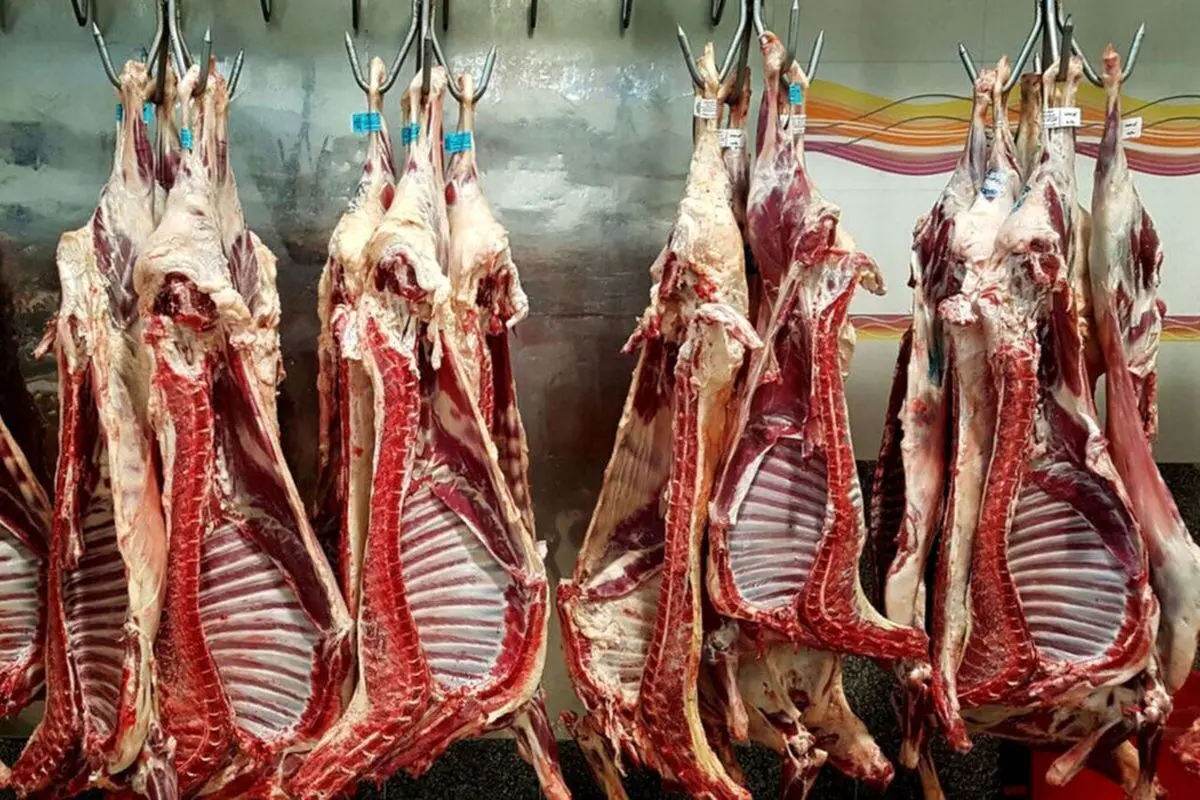 گوشت ارزان کنیایی در راه بازار ایران/ نیسان آبی دادیم گوشت قرمز گرفتیم
