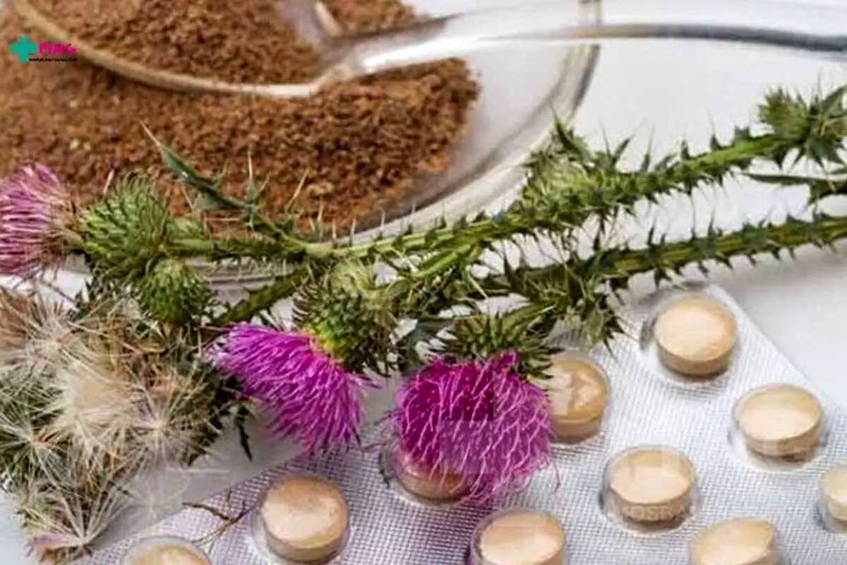 با این گیاهان از کبد و صفرای خود محافظت کنید