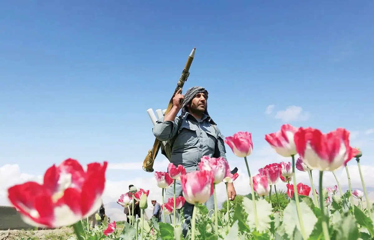 تندرو‌هایی که دیگر موادفروش نیستند/ طالبان چطور تجارت هروئین سازمان سیا در افغانستان را نابود کرد