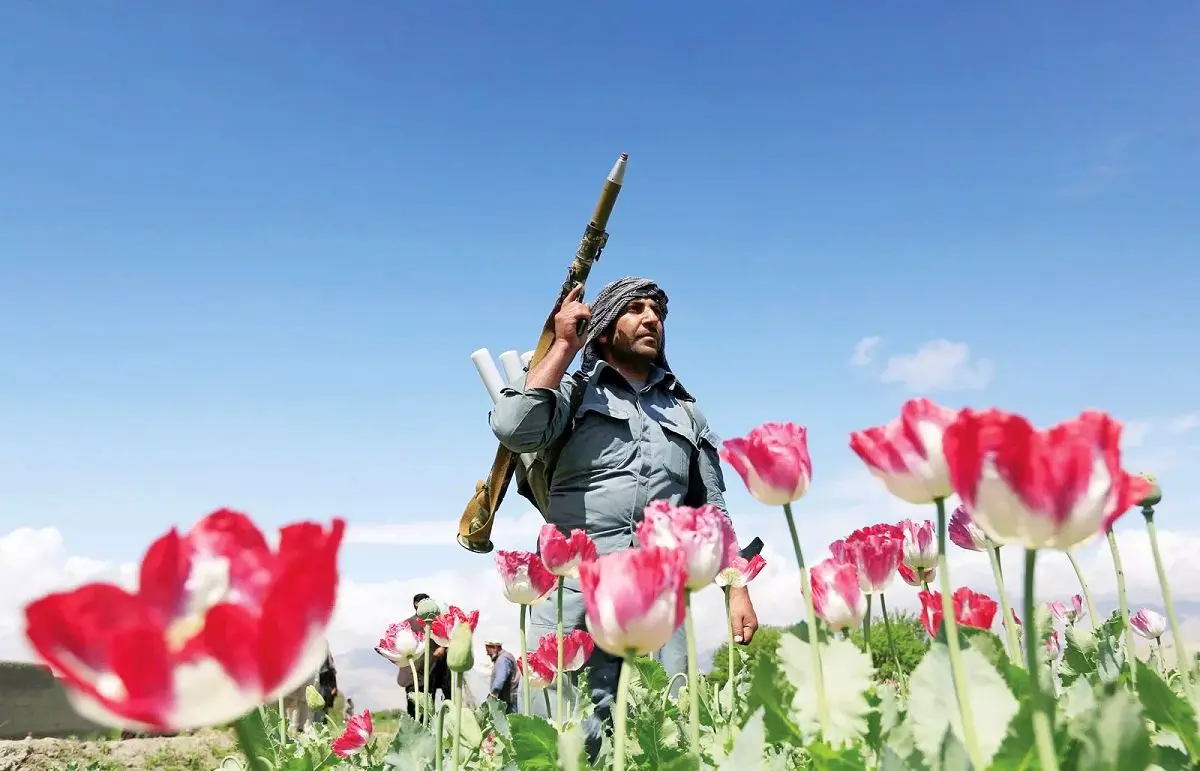 تندرو‌هایی که دیگر موادفروش نیستند/ طالبان چطور تجارت هروئین سازمان سیا در افغانستان را نابود کرد
