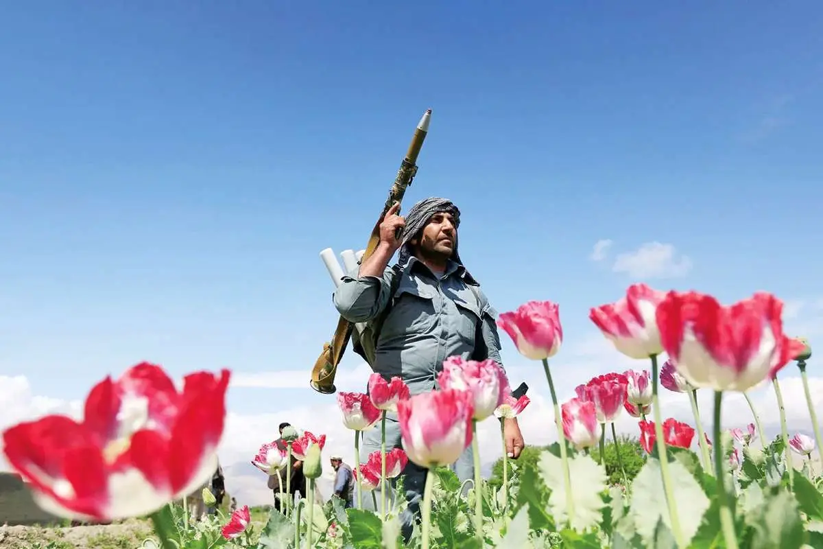 تندروهایی که دیگر موادفروش نیستند/ طالبان چطور تجارت هروئین سازمان سیا در افغانستان را نابود کرد