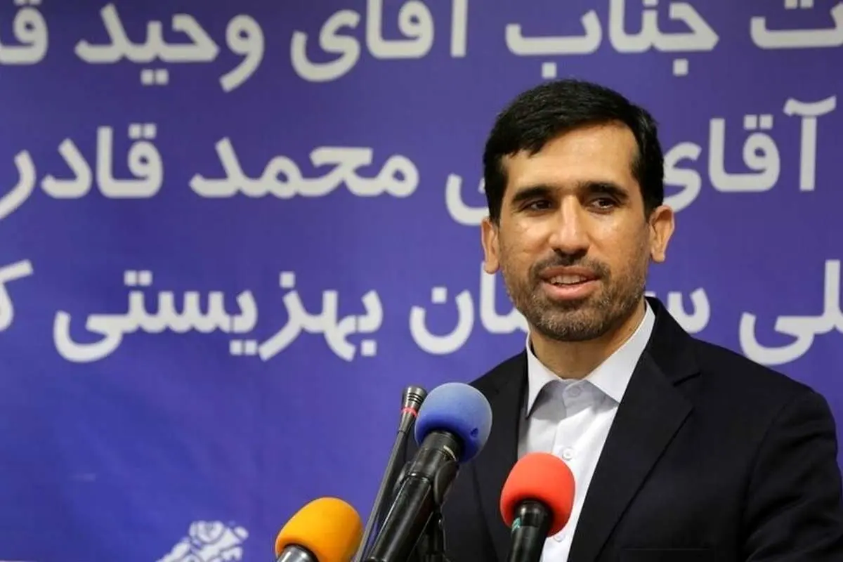 واکنش رئیس سازمان بهزیستی به خبر انتصاب زاکانی به عنوان دستیار رئیسی