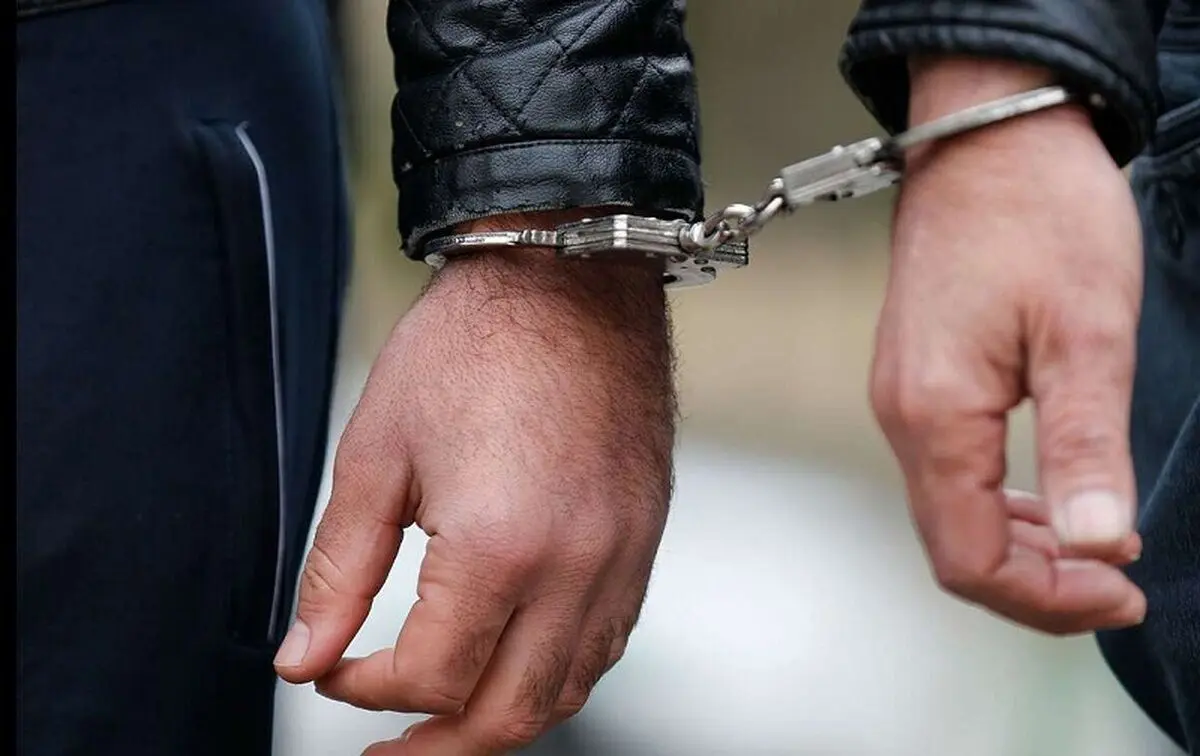 مهندس معمار: گوشی قاپی را به خاطر تفریح انجام می‌دهم!