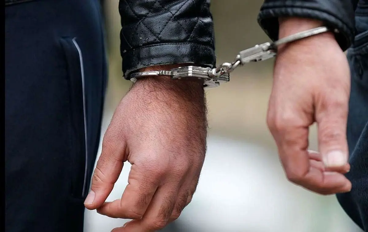 مهندس معمار: گوشی قاپی را به خاطر تفریح انجام می‌دهم!