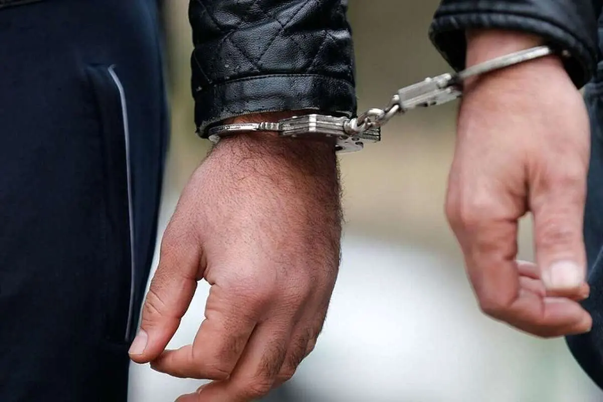 مهندس معمار: گوشی قاپی را به خاطر تفریح انجام می‌دهم!
