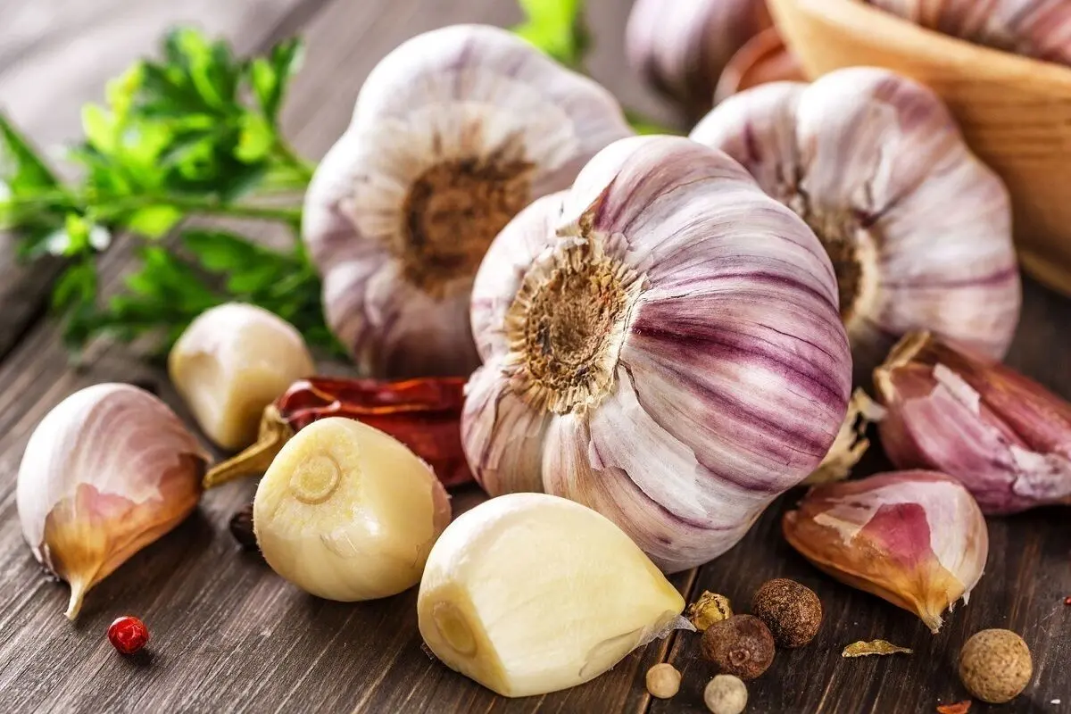 خوردن ۶ حبه سیر در روز معجره می‌کند!