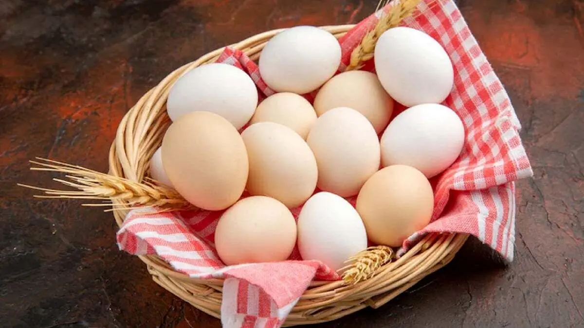 ۲۵ خاصیت شگفت‌انگیز تخم‌مرغ