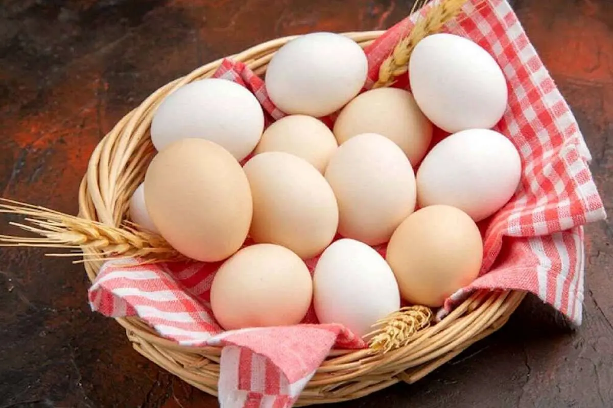 ۲۵ خاصیت شگفتانگیز تخممرغ