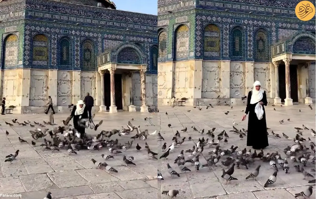 (ویدئو) کبوتربازی یک زن در صحن مسجد الاقصی