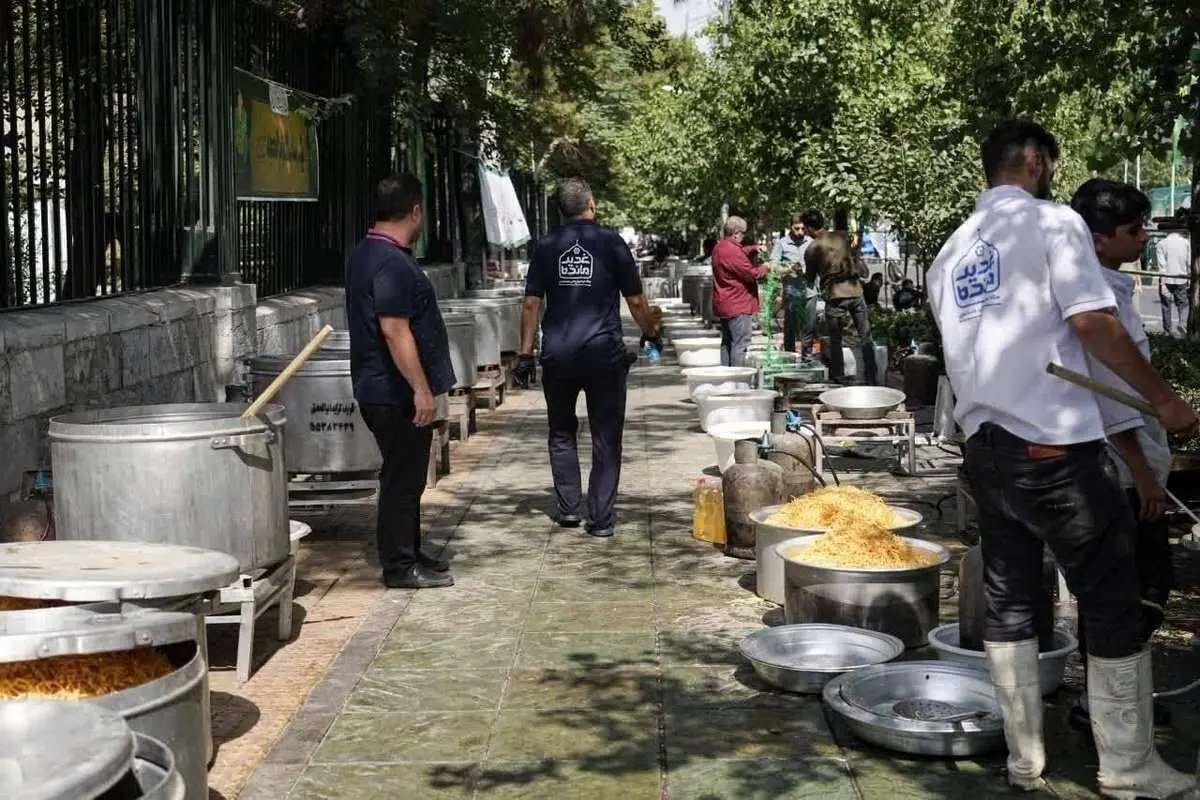 عکسی خاص از پیاده روی دانشگاه تهران که پربازدید شد