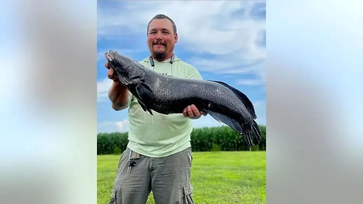 (عکس) صید یک ماهی کله‌ماری ۹ کیلویی