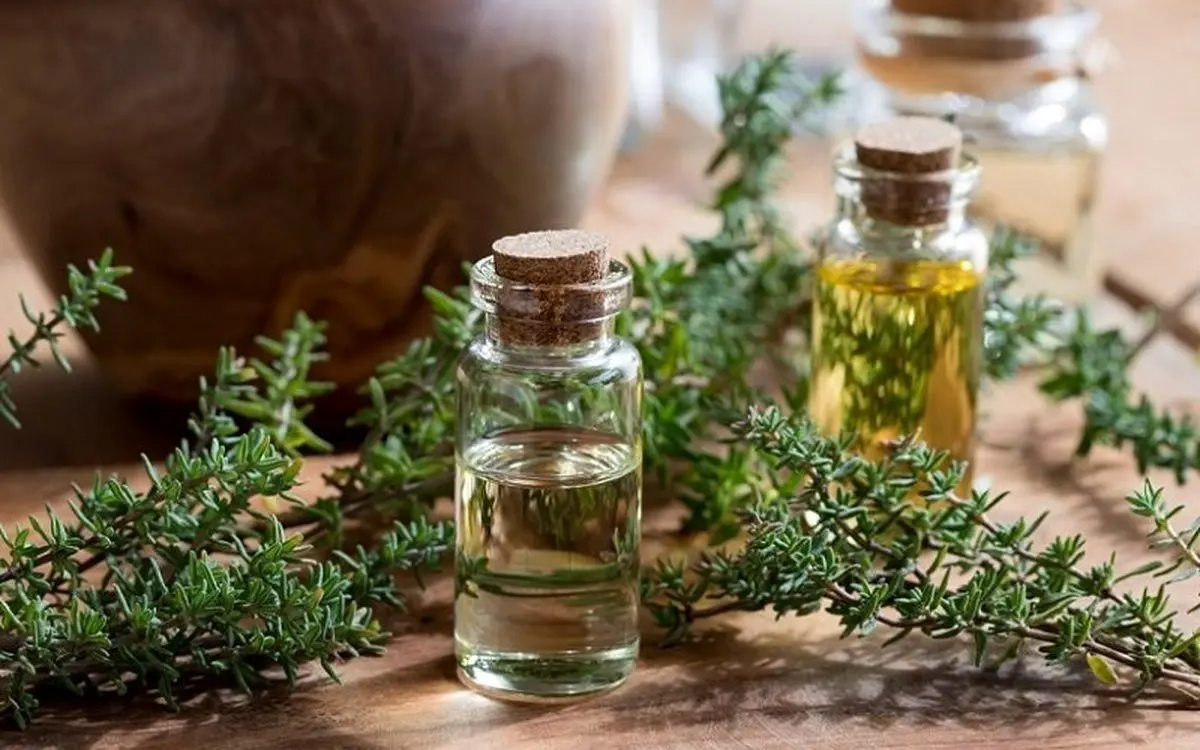 همه چیز درباره اسانس روغنی آویشن و خواص آن برای رشد مو