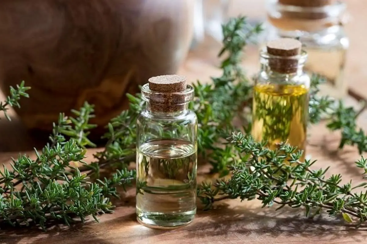 همه چیز درباره اسانس روغنی آویشن و خواص آن برای رشد مو