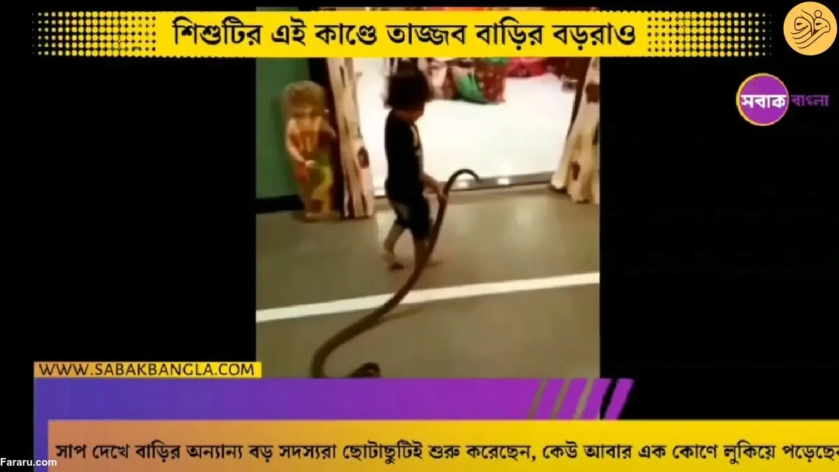 (ویدئو) دختربچه با مار وارد خانه شد و همه را به وحشت انداخت!