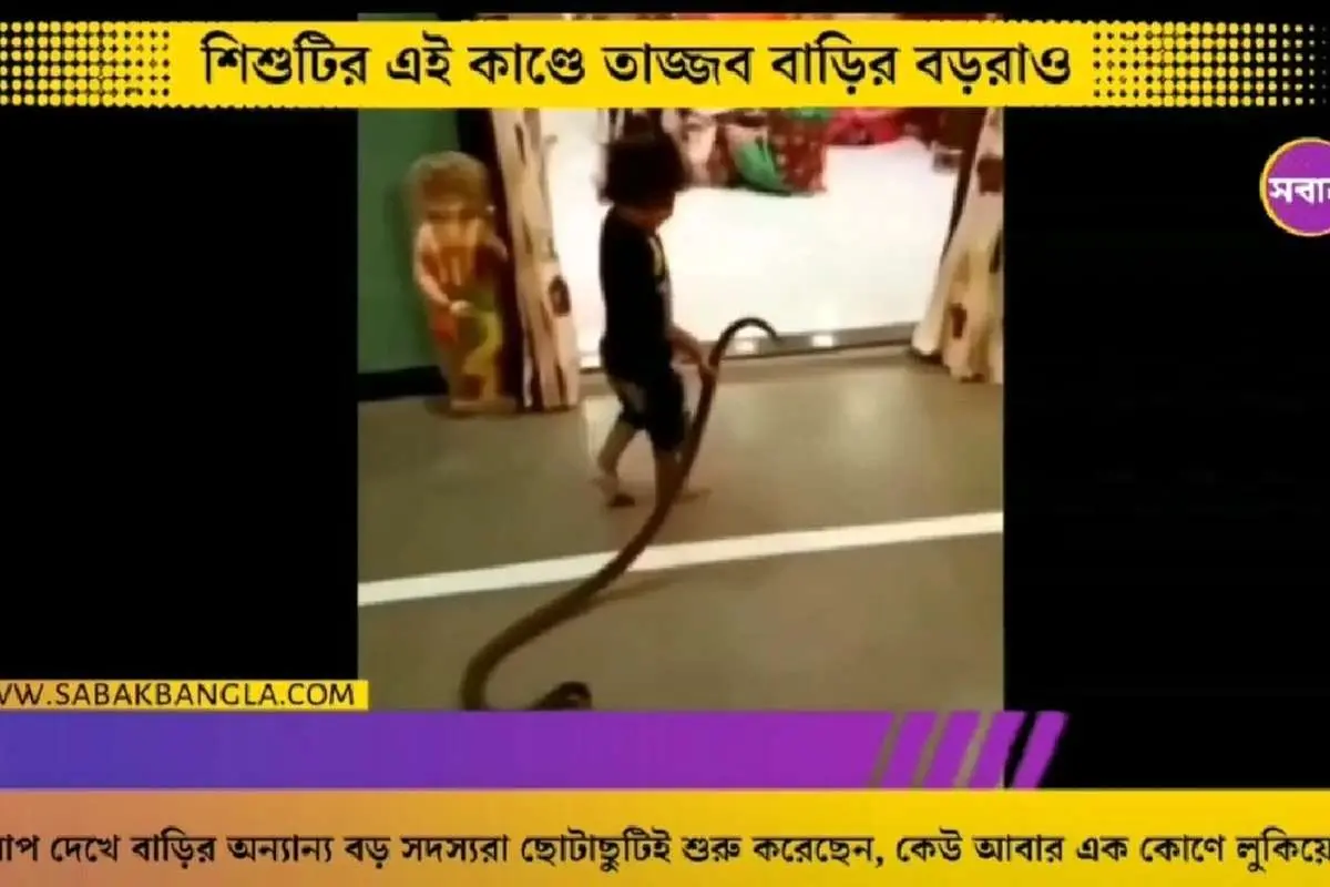 (ویدئو) دختربچه با مار وارد خانه شد و همه را به وحشت انداخت!