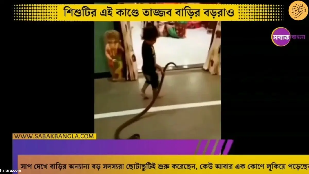 (ویدئو) دختربچه با مار وارد خانه شد و همه را به وحشت انداخت!