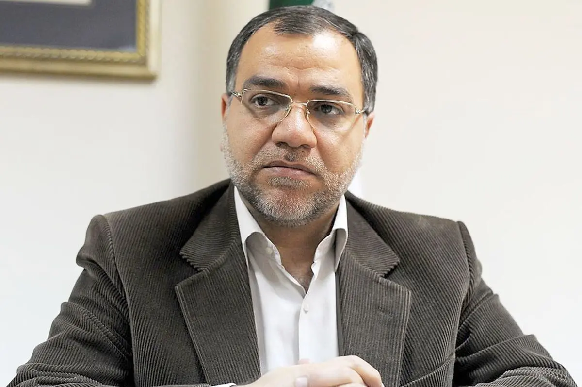 فضائلی: رهبر انقلاب با سوزاندن کتب مقدس مخالف هستند