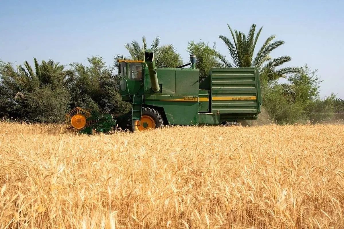 خرید گندم از مرز ۱۰۰ هزار میلیارد تومان گذشت