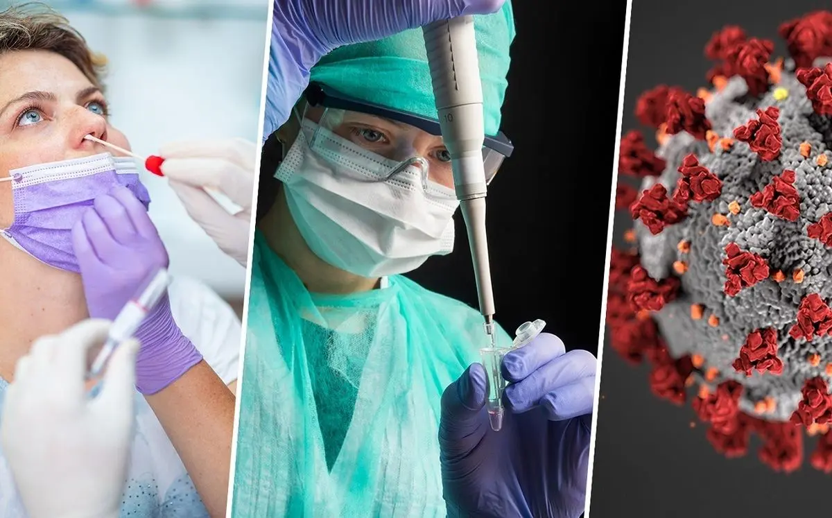 ژنتیک درباره سوپرمن‌های کرونا چه می‌گوید؟ / چرا برخی‌ها بیمار نمی‌شوند؟!