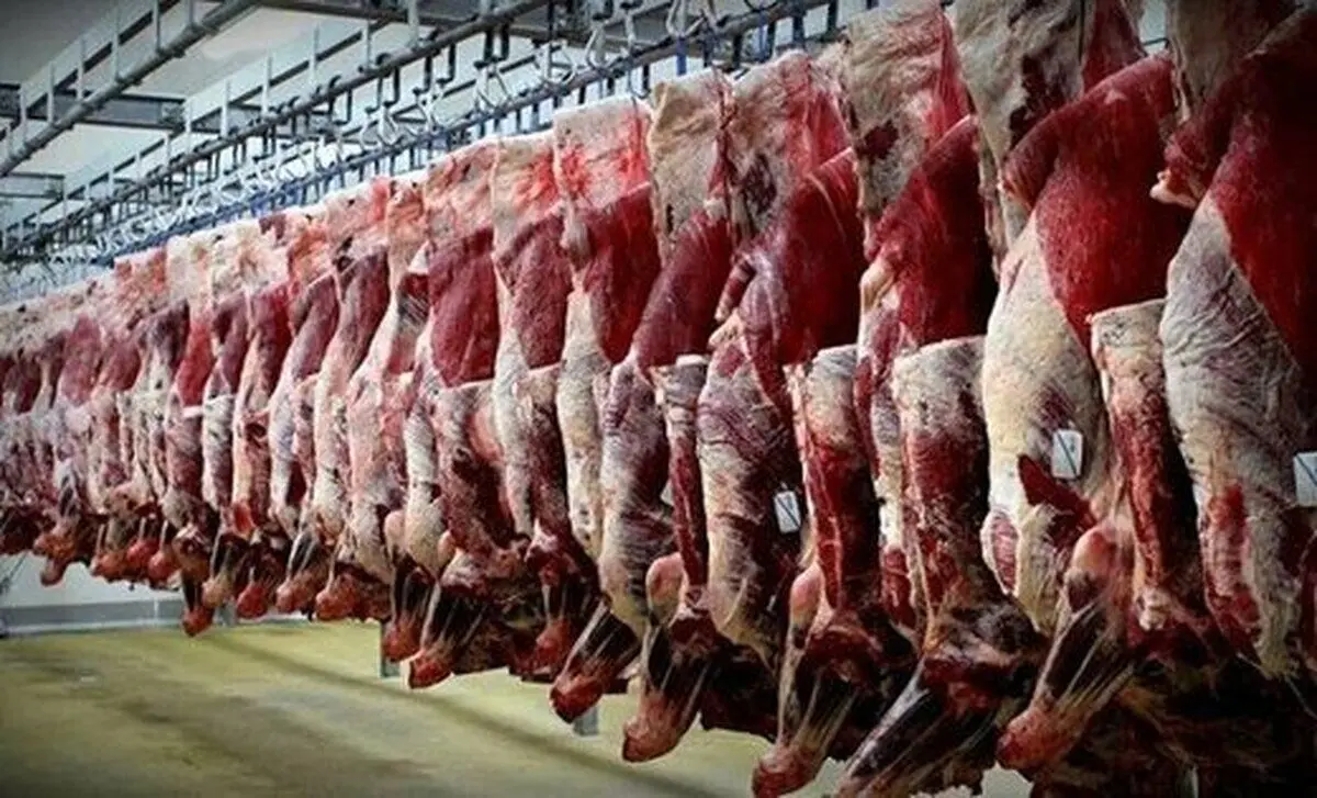تناقض‌گویی ۲ دستگاه در مورد محموله گوشت وارداتی