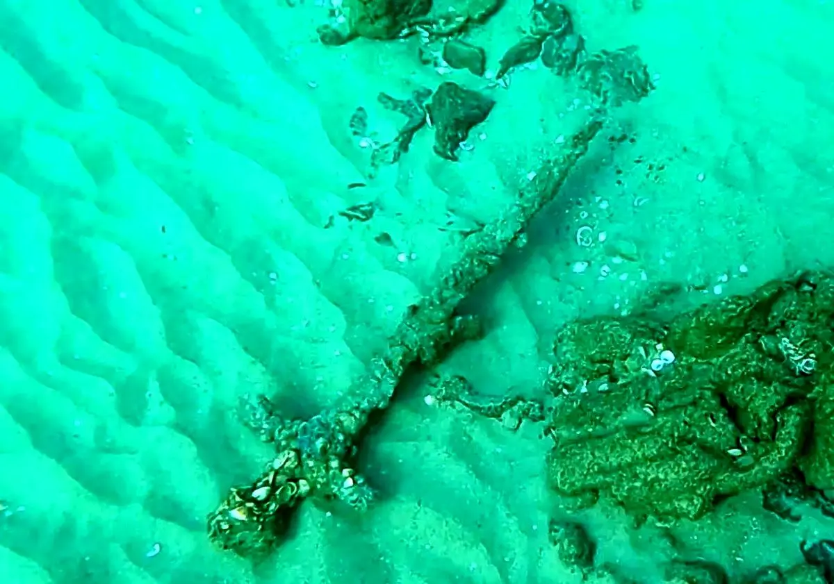 (تصاویر) کشف شمشیرِ «سنگ‌شدۀ» حیرت‌انگیز در اعماق دریا