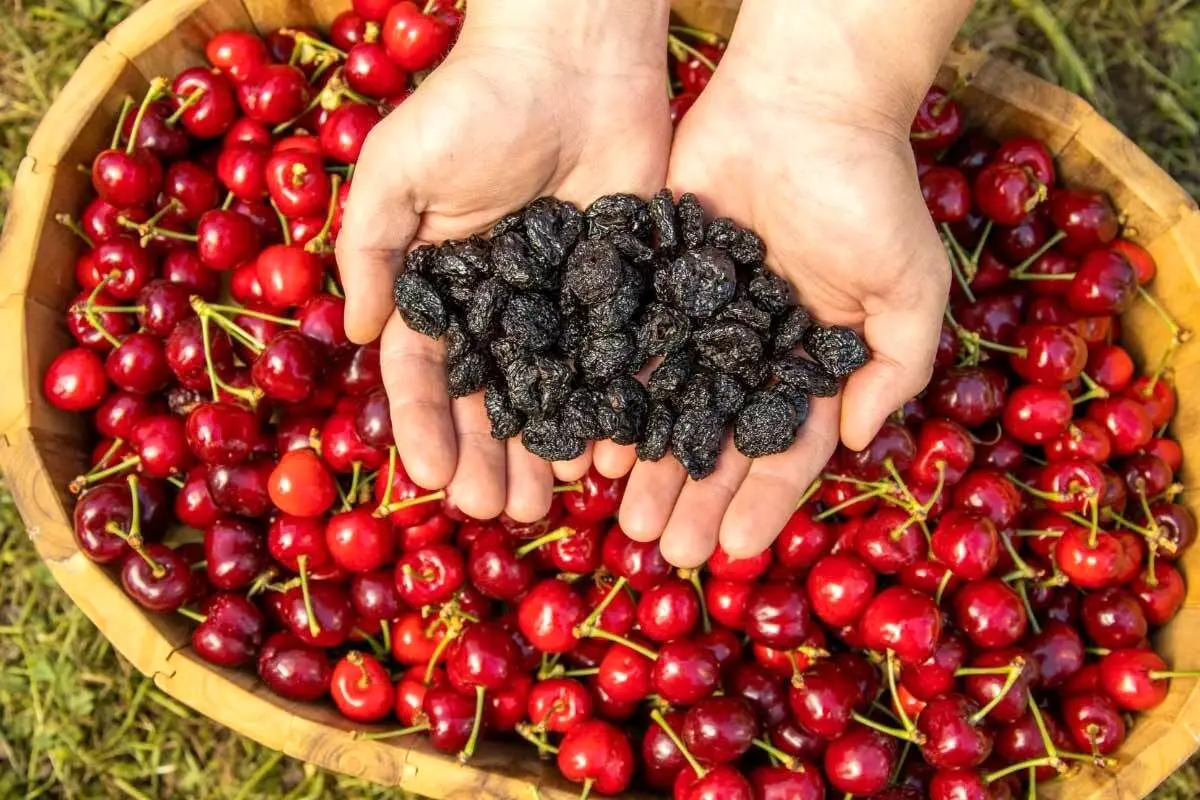 خشک شده این میوه استامینوفن طبیعی است